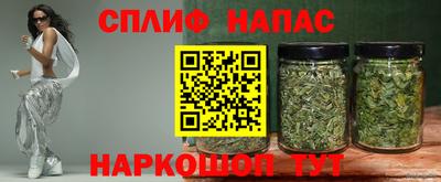 индика Котовск